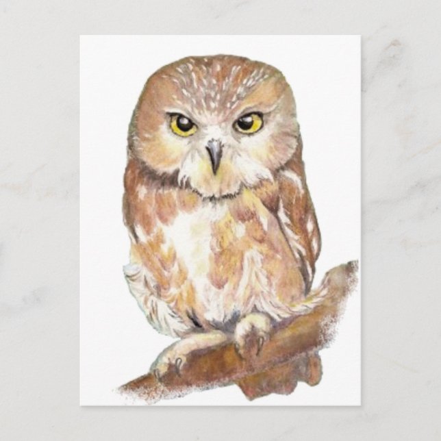 Sägen von weißem Owl, Wasserfarben-Vogelsammlung Postkarte (Vorderseite)