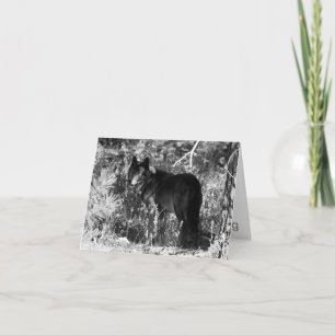 Sägezahn-Satz-Anmerkungs-Karte Karte