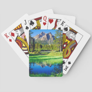 Sägezahnwild Spielkarten