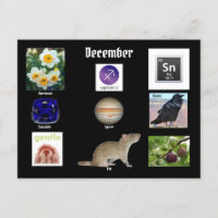 Sagittarius Dezember Geburtsmonat POSTCARD