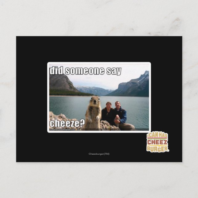 Sagte jemand cheeze? postkarte (Vorderseite)
