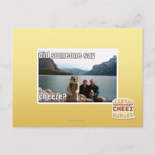 Sagte jemand zu betrügen? postkarte (Vorderseite)