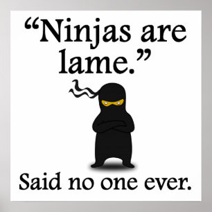 Sagte nie jemand: Ninjas sind lahm Poster