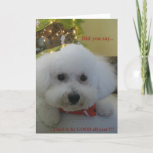 "Sagten Sie mich gemusst GUT das ganze Jahr sein? Feiertagskarte