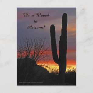 Saguaro bei Sunset, neue Ankündigung