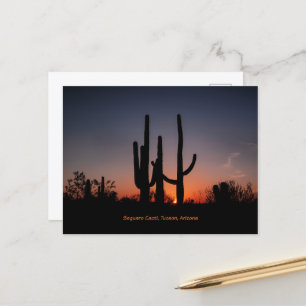 Saguaro Cacti bei Sonnenuntergang Postkarte