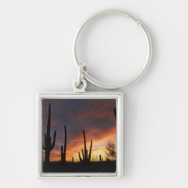 Saguaro cacti, Carnegiea gigantea, nach Schlüsselanhänger (Vorne)