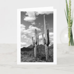 Saguaro Cacti Sonoran Desert Foto Grußkarten Karte