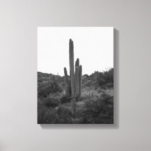 Saguaro Cactus 11x14 Leinwanddruck