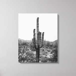 Saguaro Cactus 16x20 Leinwanddruck