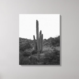Saguaro Cactus 16x20 Leinwanddruck