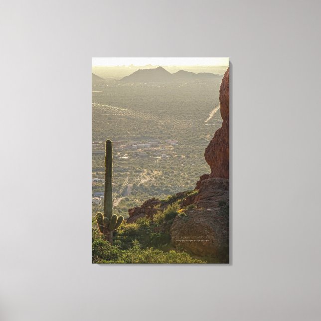 Saguaro Cactus Apache Junction Pheonix AZ 24 x 36 Leinwanddruck (Vorderseite)
