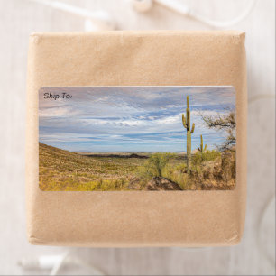 Saguaro Cactus Arizona