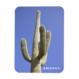 Saguaro Cactus - Arizona - Magnet
