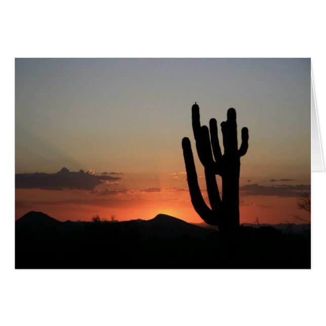 Saguaro Cactus at Sunset (Vorderseite (Horizontal))