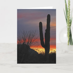 Saguaro Cactus at Sunset, Blank Greeting Card Karte
