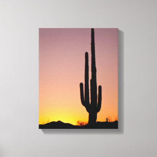 Saguaro Cactus at Sunset Leinwanddruck