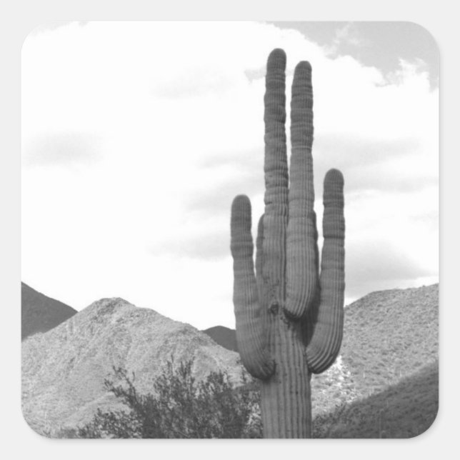 Saguaro Cactus Desert Custom Decal Stickers (Vorderseite)