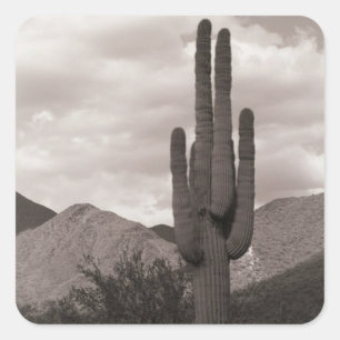 Saguaro Cactus Desert Custom Sticker Decals