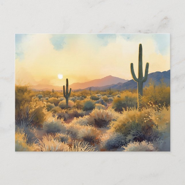 Saguaro Cactus Desert Sunset Postkarte (Vorderseite)