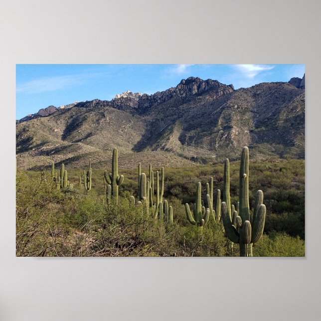 Saguaro Cactus et Catalina Mountains, Tucson AZ Poster (Vorne)