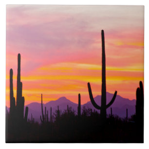 Saguaro Cactus Forest at Sunset Fliese
