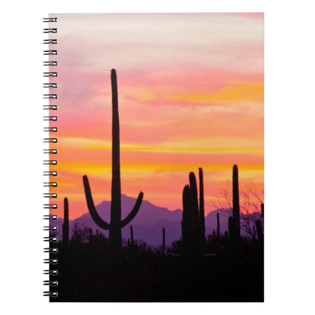 Saguaro Cactus Forest at Sunset Notizblock (Vorderseite)