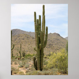 Saguaro Cactus in der Wüstenfarbe Arizona 16x20 Poster
