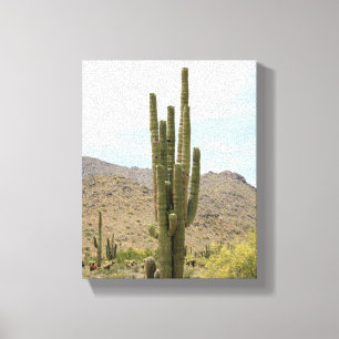 Saguaro Cactus in der Wüstenfarbe Arizona 8x10 Leinwanddruck