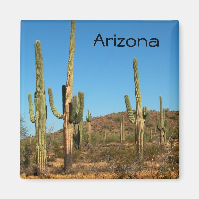 Saguaro cactus magnet (Vorne)