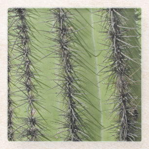Saguaro Cactus Needles Foto Südwestliche Natur Glasuntersetzer