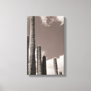 Saguaro Cactus Pipes Desert B&W Foto Kunstdrucke Leinwanddruck