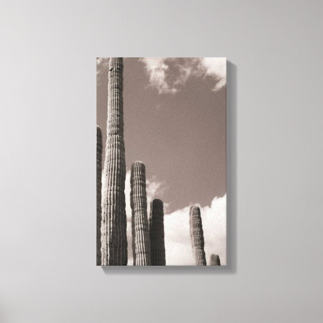 Saguaro Cactus Pipes Desert B&W Foto Kunstdrucke Leinwanddruck (Vorderseite)