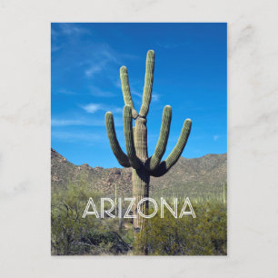 Saguaro Cactus Postcard Postkarte