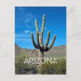 Saguaro Cactus Postcard Postkarte