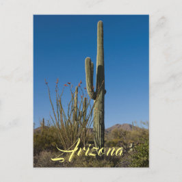 Saguaro Cactus Postcard Postkarte