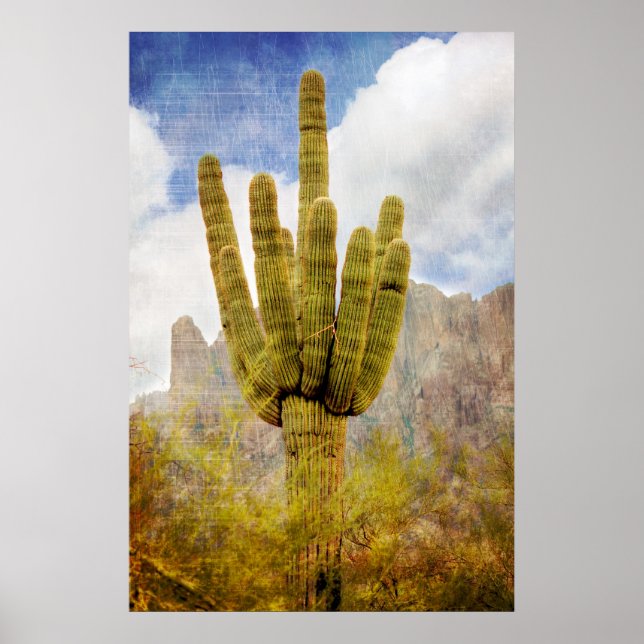 Saguaro Cactus Poster (Vorne)