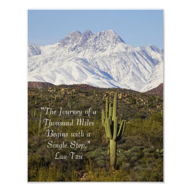 Saguaro Cactus Snow Capped Mountains Arizona USA Fotodruck (Vorne)
