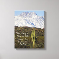 Saguaro Cactus Snow Capped Mountains Arizona USA