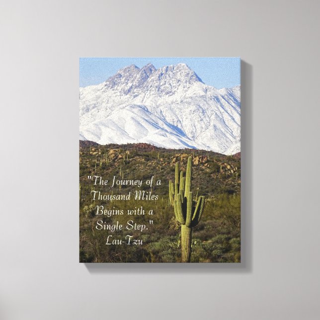 Saguaro Cactus Snow Capped Mountains Arizona USA Leinwanddruck (Vorderseite)