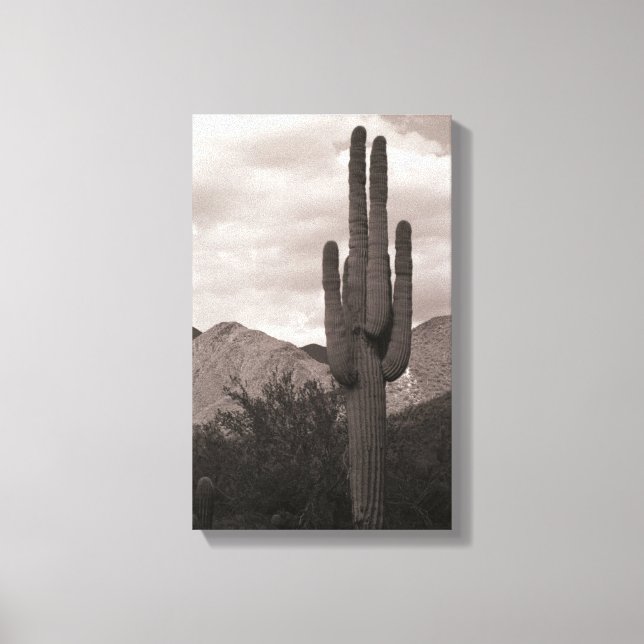 Saguaro Cactus Sonoran Desert B&W Foto Art Print Leinwanddruck (Vorderseite)