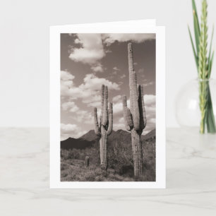 Saguaro Cactus Sonoran Desert Foto Grußkarte Karte