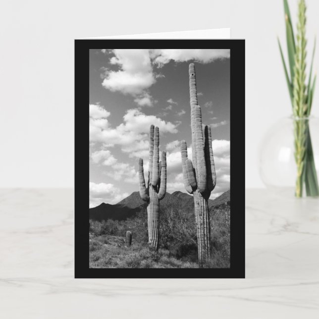 Saguaro Cactus Sonoran Desert Foto Grußkarten Karte (Vorderseite)