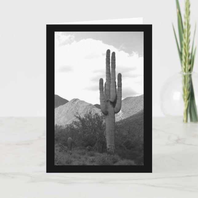 Saguaro Cactus Sonoran Desert Foto Grußkarten Karte (Vorderseite)