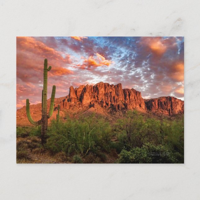 Saguaro Cactus Superstition Berg Sonnenuntergang W Postkarte (Vorderseite)