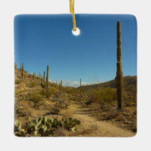 Saguaro-Carillo-Pfad im Saguaro-Nationalpark Keramikornament