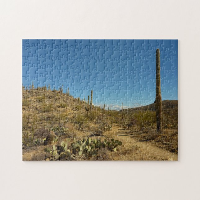 Saguaro-Carillo-Pfad im Saguaro-Nationalpark Puzzle (Horizontal)
