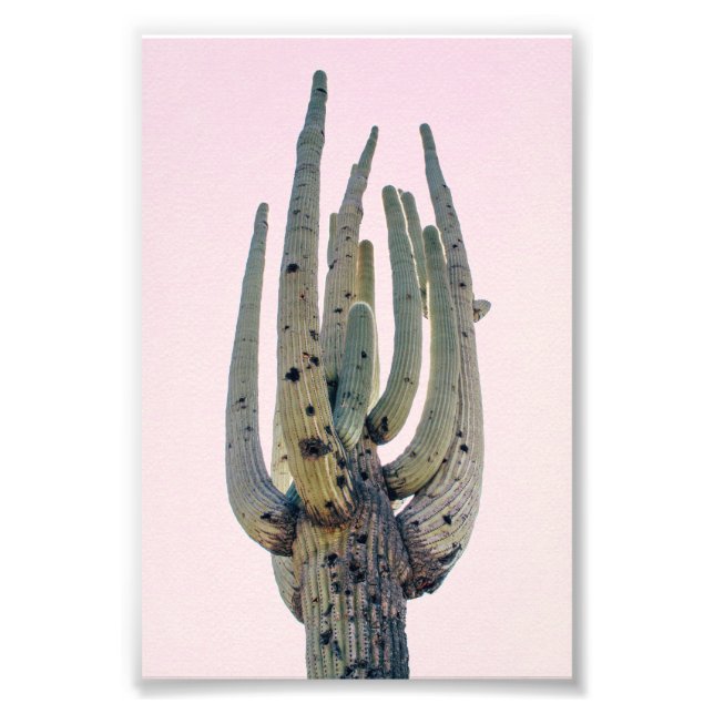 Saguaro Cutout | FOTO (Vorne)