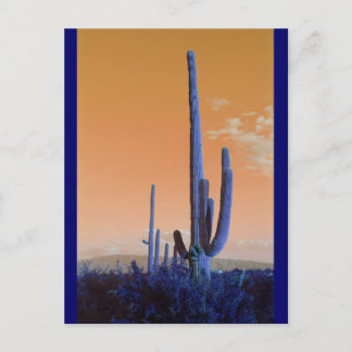 Saguaro in Blue Postkarte