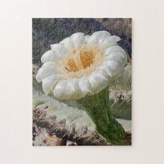 Saguaro in Blüten Puzzle, 28 cm x 36 cm, 252 Teile Puzzle